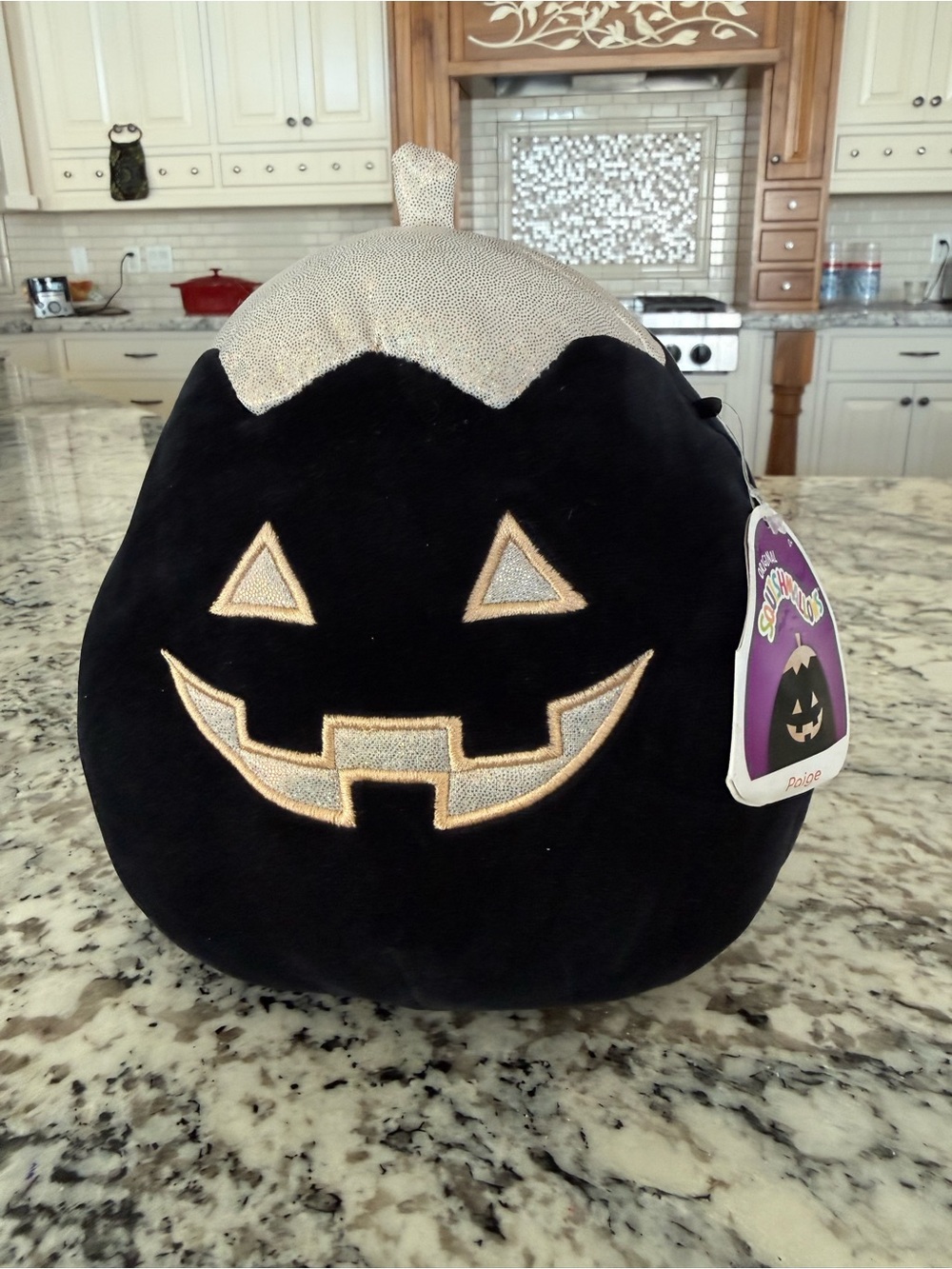 Plush Black Pumpkin Kids Costume Accessory - Unbranded